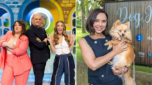 Programas confirmados del prime time en agosto en RTVE y La 1