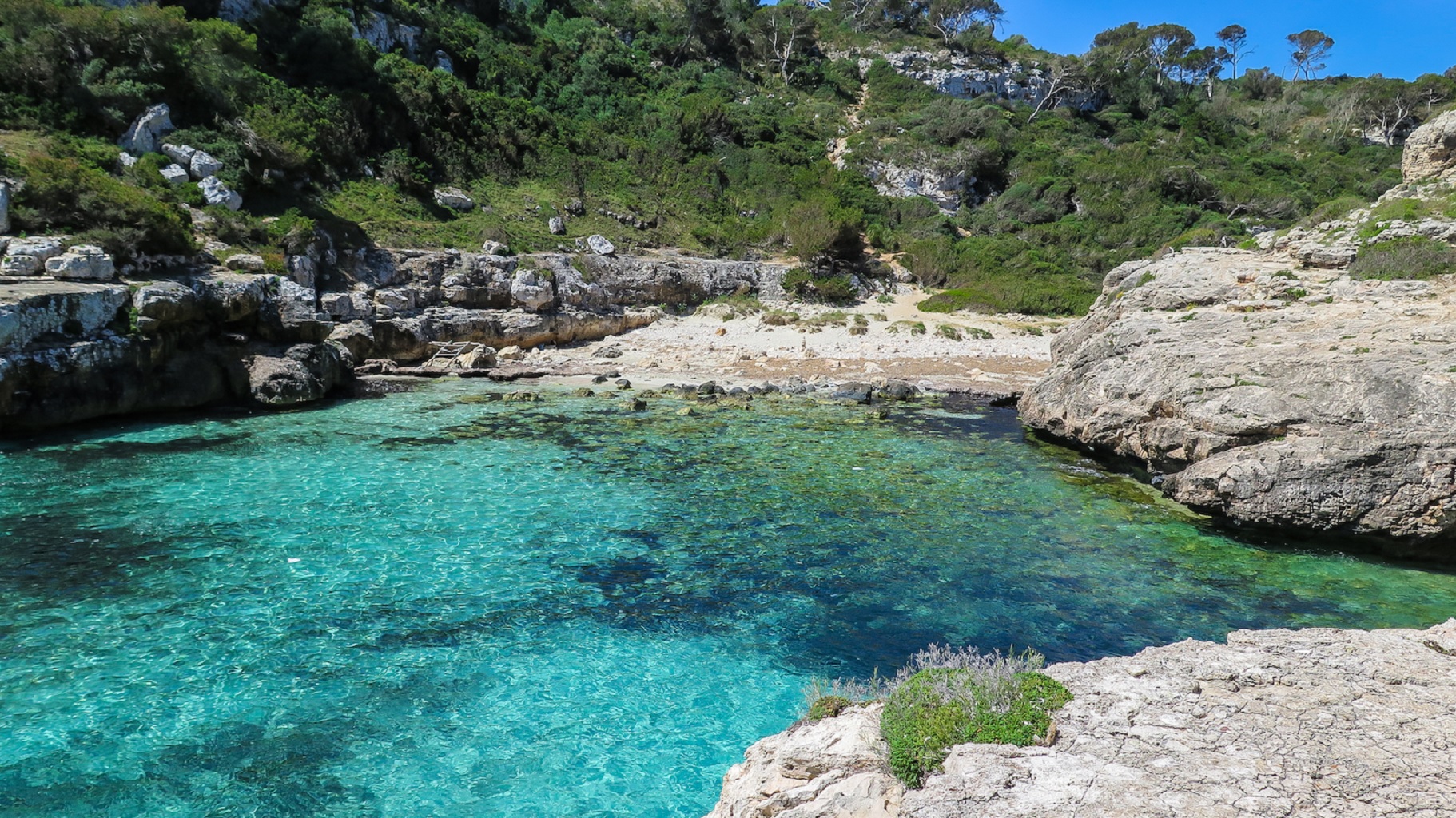 Cala Marmols - Sociedad Cala Marmols - Sociedad