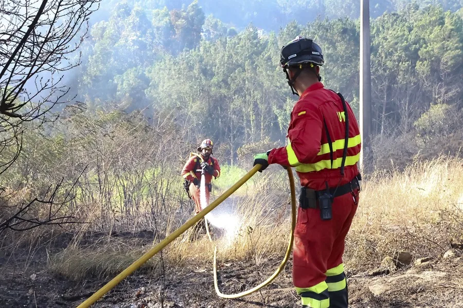 UME en los incendios de Galicia - Sociedad UME en los incendios de Galicia - Sociedad