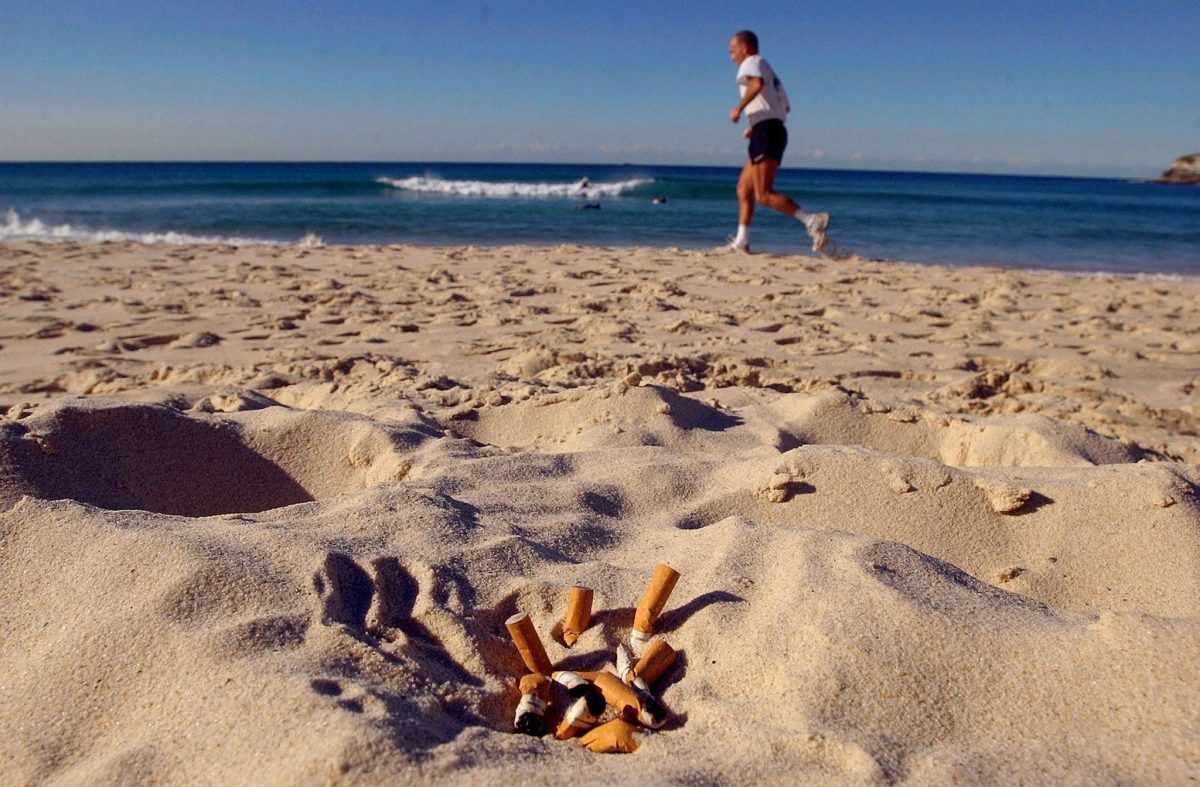 Fumar en la playa - Sociedad