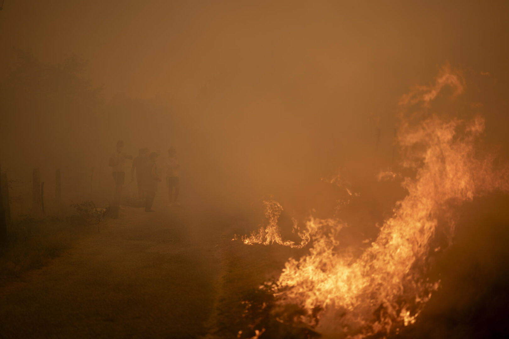 ¿Cuánto cuesta mantener limpios los montes y evitar los incendios forestales?