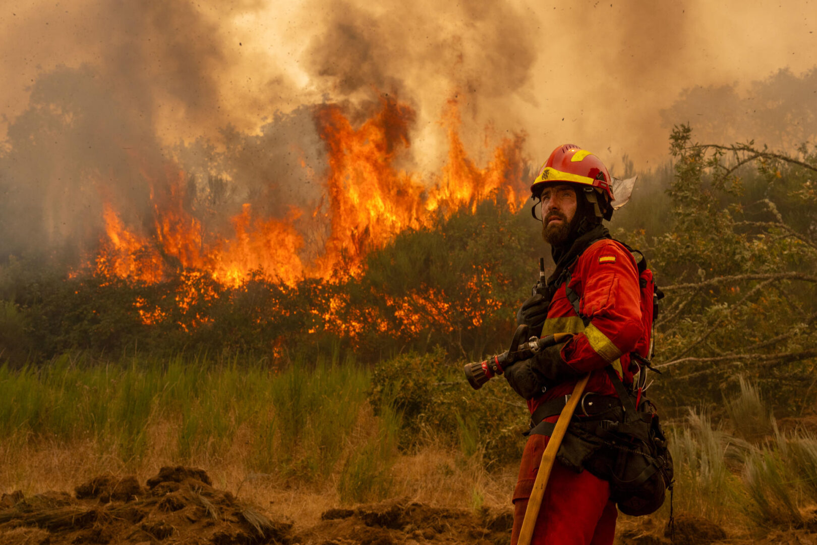 La ola de incendios arrasa 50.000 hectáreas y ya es la peor de la historia de España
