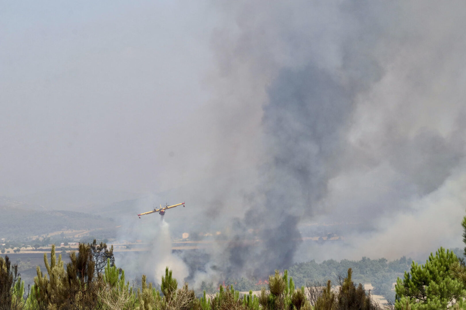 ¿Por qué el incendio de Molezuelas es el peor de la historia de España?