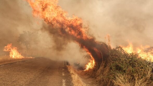 Incendios en Salamanca 2025 - Sociedad