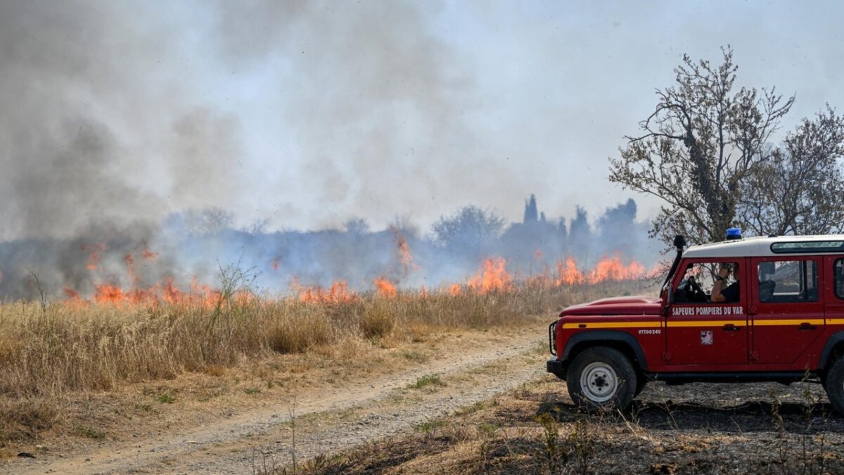 Incendios forestales en Francia - Internacional