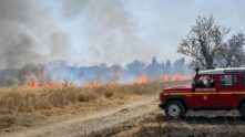 Incendios forestales en Francia - Internacional
