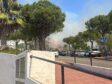 Incendio de Benalmádena - Sociedad